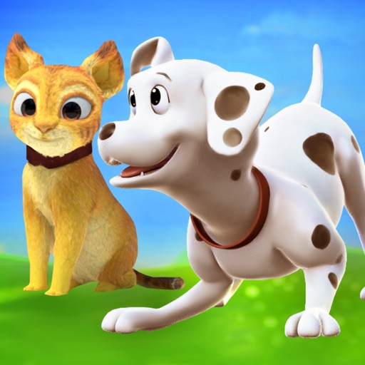 Dogs and cats sales online login