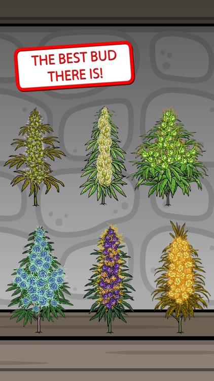 Bud Farm - Stickers