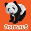 Animals & Animal Sounds Kids Toddlers Zoo App