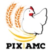 PIX/AMC
