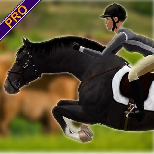 Horse Riding Hurdle Course Pro icon