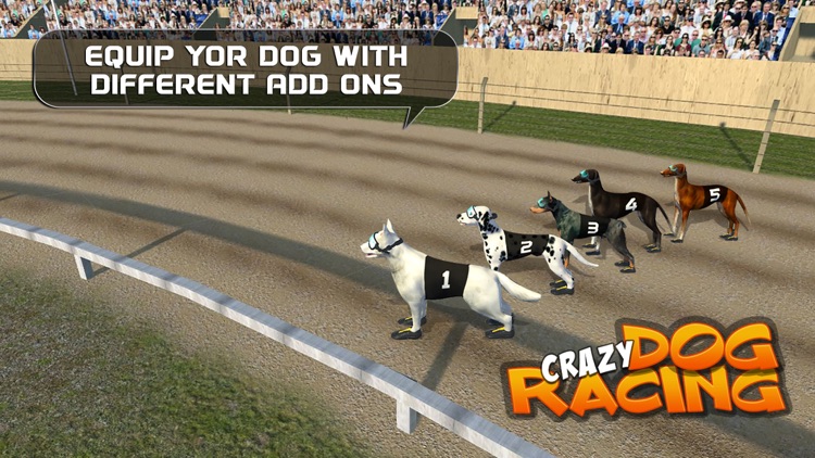 Crazy Dog Racing : Chase Racing Bunny With Pet Dog
