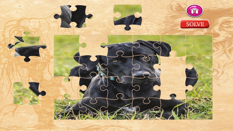 Dog Jigsaw Puzzles - Activities for Family