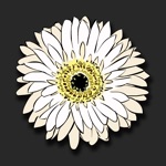 FloralShop 2017 Graduation  More Flower Stickers