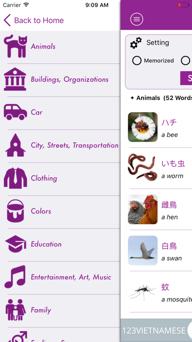 App preview
