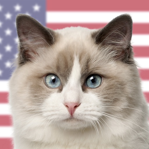 Kittylog - The Complete Catalog Of Cat Breeds