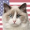 The most complete catalog consisting of 100 best-loved cat breeds, including all the world's most popular varieties
