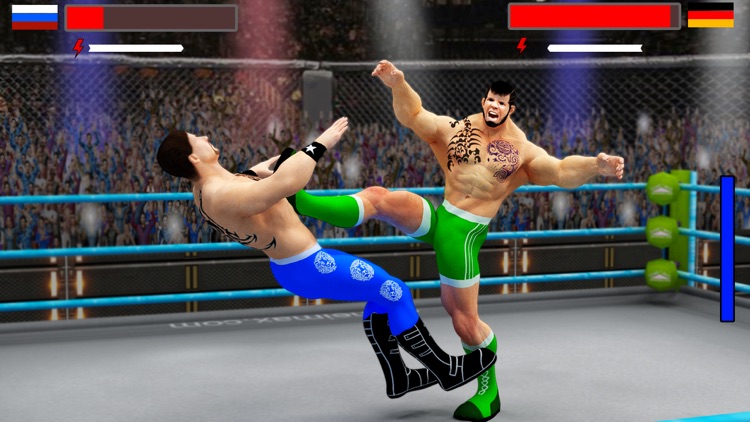 Stars Wrestling Revolution 2017: Real wrestlers