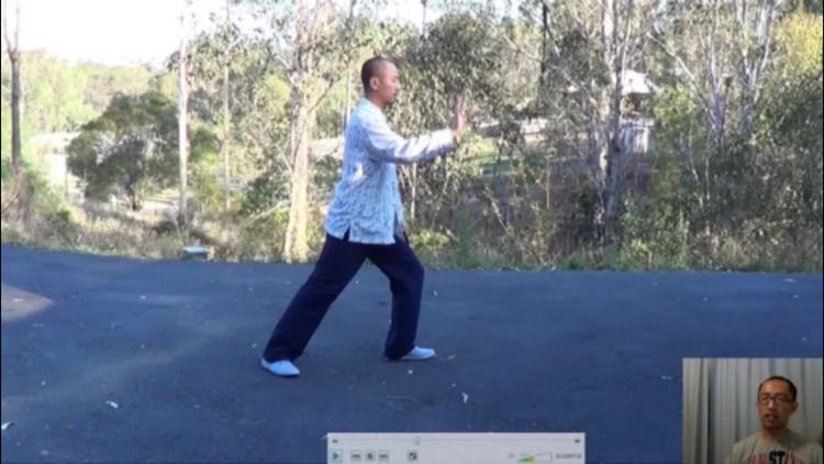 Tai Chi Master Class screenshot-4