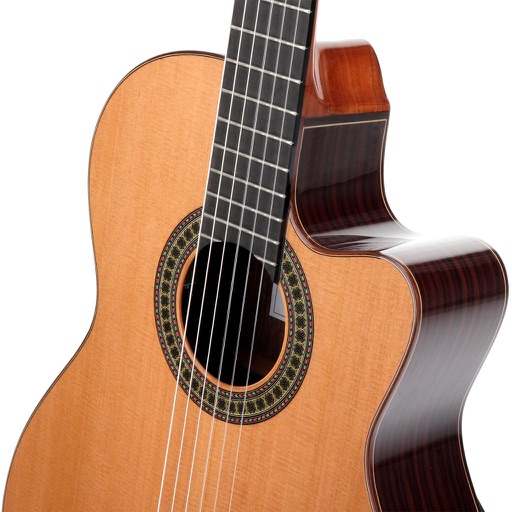 Learn To Play Classical Guitar icon