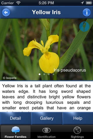 Wild Flower Id Automatic Recognition British Isles - náhled