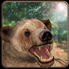 Activities of Wild Angry Animal Bear Simulator 3D