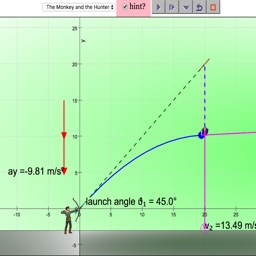 Hunter and Monkey Projectile