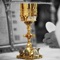 iMass makes it possible to view Holy Mass each day directly on your iPhone