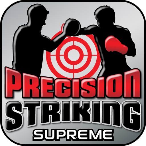 Precision Boxing Coach Pro