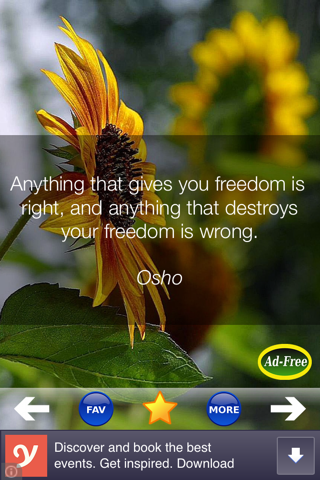 Daily Inspirational Wisdom and Motivational Quotes - náhled