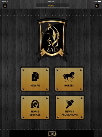 ZAD for iPad screenshot 2