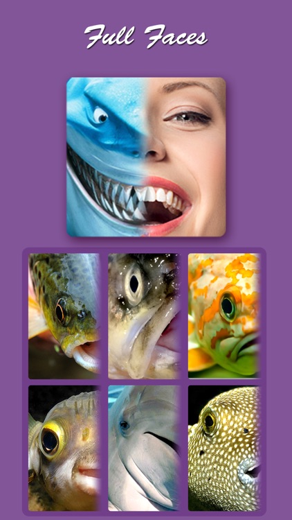 Shark Eyes Pro- Easy photo morphing blender screenshot-3