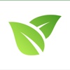 Green Balcony - Pflanzen-Pflege smart & persönlich