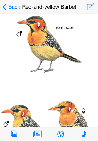 eGuide to Birds of East Africa - náhled