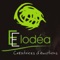 L'application "Elodéa" vous offre la possibilité de consulter toutes les infos utiles du fleuriste (Tarifs, produits, avis…) mais aussi de recevoir leurs dernières News ou Flyers sous forme de notifications Push