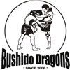 Bushido Dragons