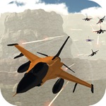 Flight Airplane Control