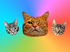 Cat stickers for iMessage