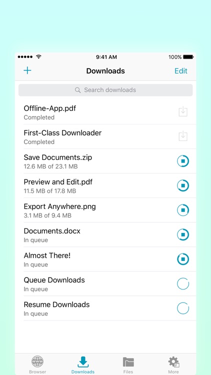 Offline - Files and Web Browser