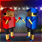 Boxing Fighter 3D Knockout Physics  Pugilism War