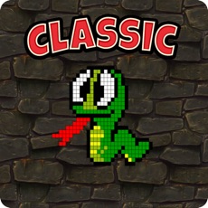 Activities of Snake Classic - Snake Challenge