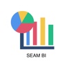 Seam BI