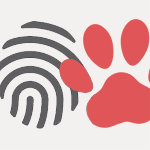 PawsLikeMe Lifestyle