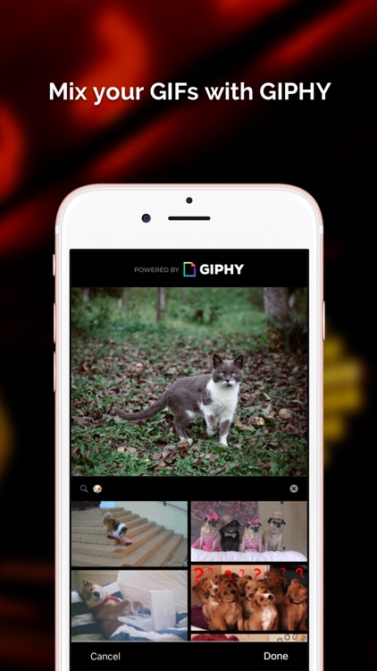 Momento - GIF Maker screenshot-3