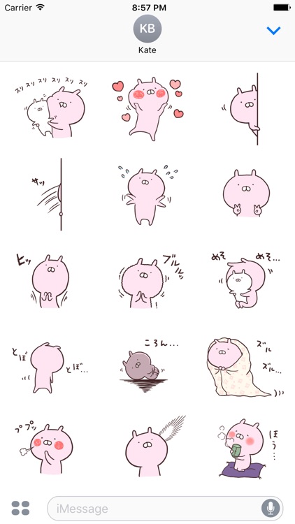 usako next to the usamaru stickers