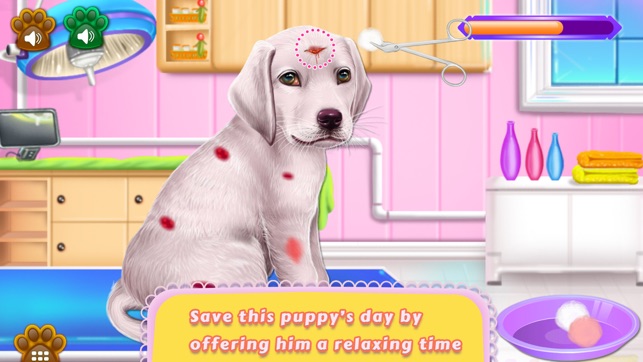 Labrador Puppy Day Care(圖1)-速報App