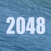 2048 Summer Version