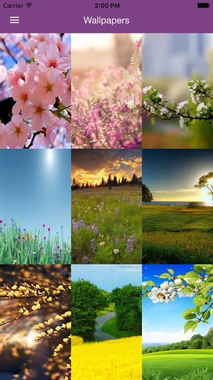 Spring Wallpaper - Nature Wallpapers & Backgrounds