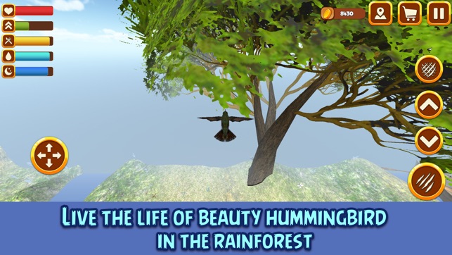 Hummingbird Simulator 3D: Bird Life(圖1)-速報App