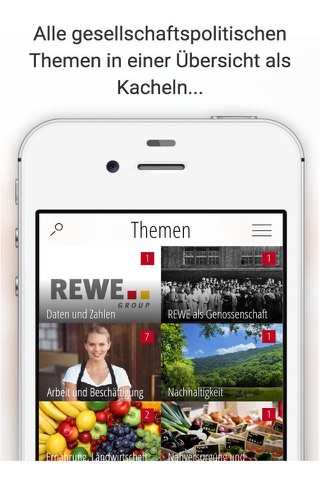 REWE Public Affairs - náhled