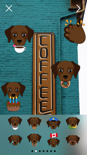 Dark Chocolate Labrador Photo Booth(圖5)-速報App