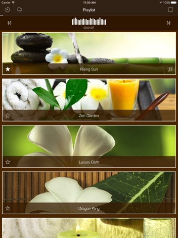 Tranquility Zen Spa Universe screenshot 3