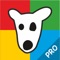 A unique application for analysis of user profiles for VK social network, based on an analysis of public activity of users