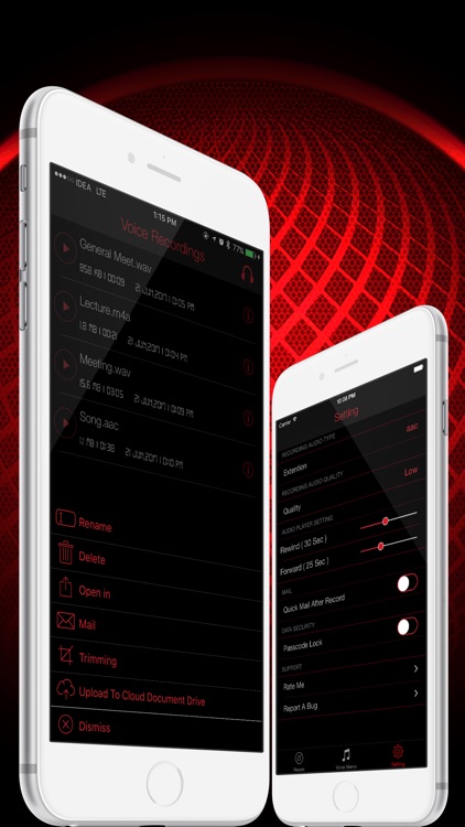 HD Audio Recorder : WAV,M4A,AAC,MP4,CAF,Voice Memo screenshot-4