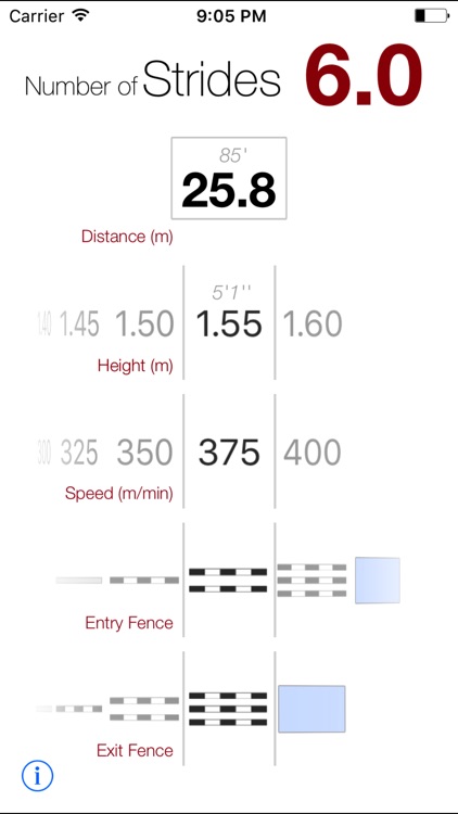 Show Jumping Strides