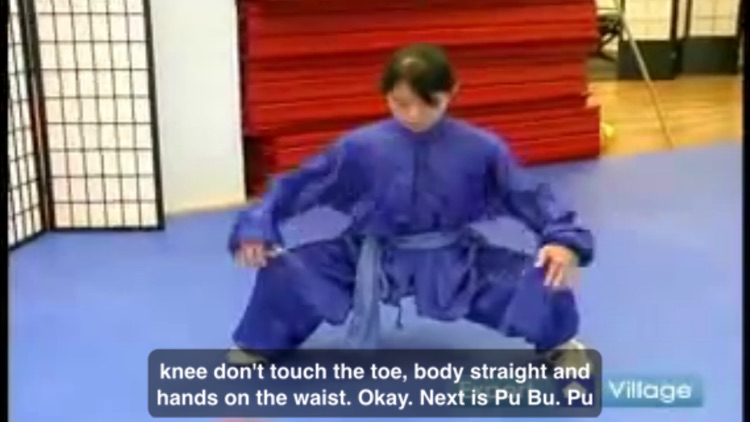 Wushu