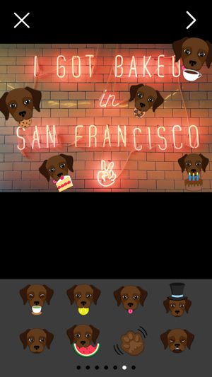 Dark Chocolate Labrador Photo Booth(圖3)-速報App
