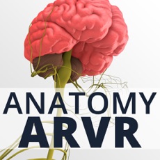 Activities of Anatomy ARVR