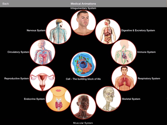 Anatomy Atlas: 3D Anatomical Model and Animation(圖4)-速報App