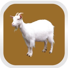 Activities of GoatRescueFromGarden